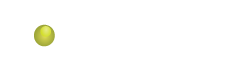 Partner 6